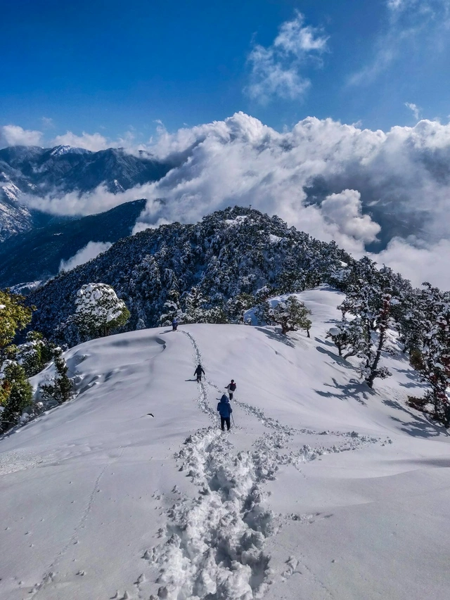 Century Holidays - Himachal Premium Mountain Tour